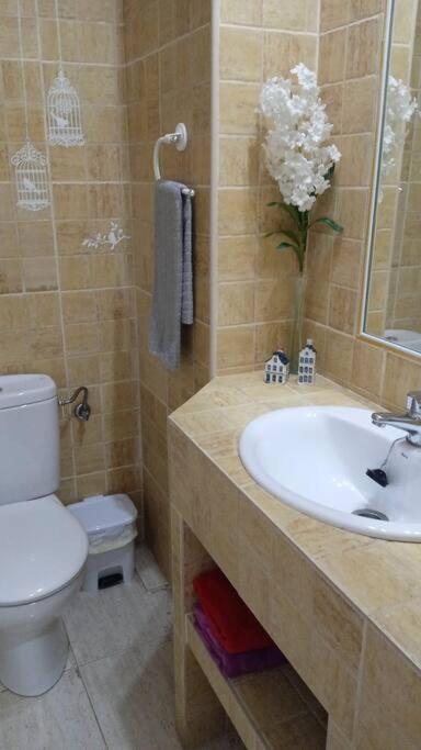Acogedor Apartamento Jv36 Kordoba Bagian luar foto